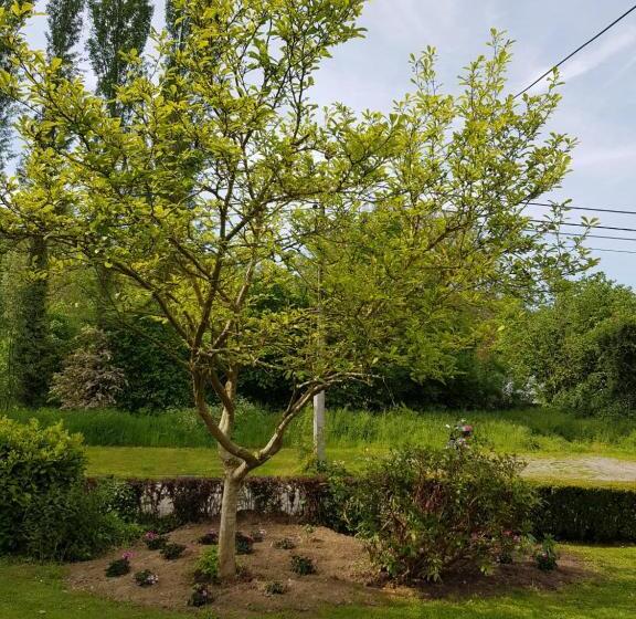 Bed and Breakfast La Riviere Du Bien Etre