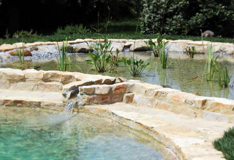 Bed and Breakfast Le Ginestre