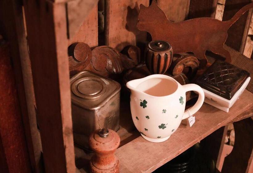 住宿加早餐  Les Chambres Du Chat