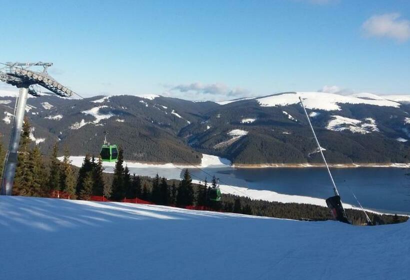 민박 Pensiunea Bradet