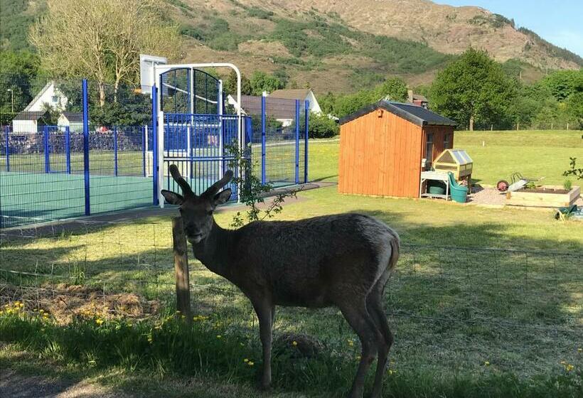 Bed and Breakfast The Woolly Rock