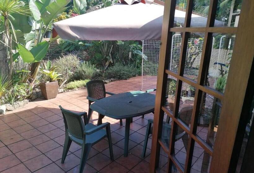 צימר Thrush Nest Durban