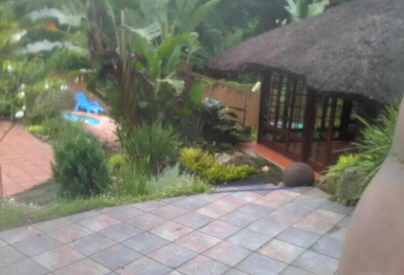 צימר Thrush Nest Durban