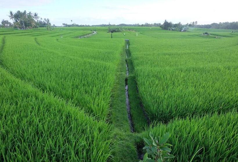 مبيت وإفطار Villa Pilou Boutique