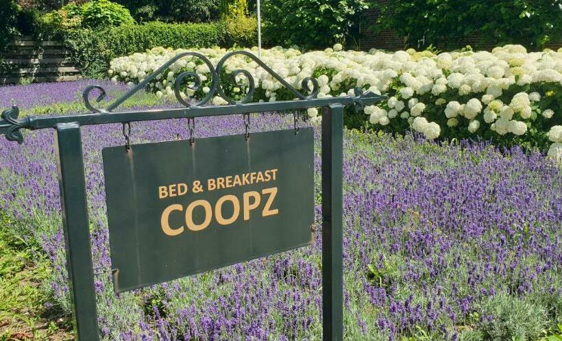 Bed & Breakfast Coopz
