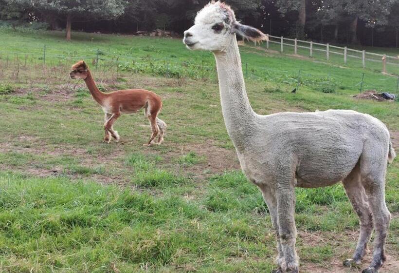 Chart House Bed And Breakfast