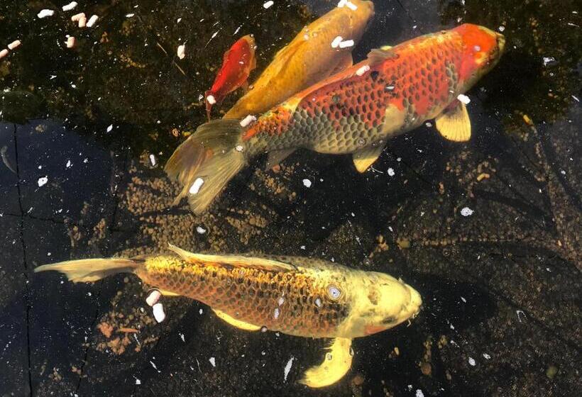 Chart House Bed And Breakfast