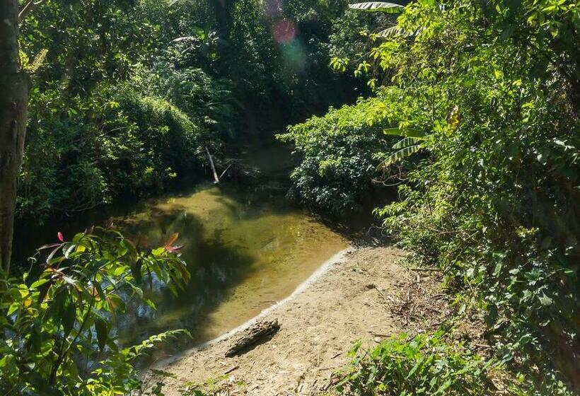 Hostel E Camping Rio Das Pedras