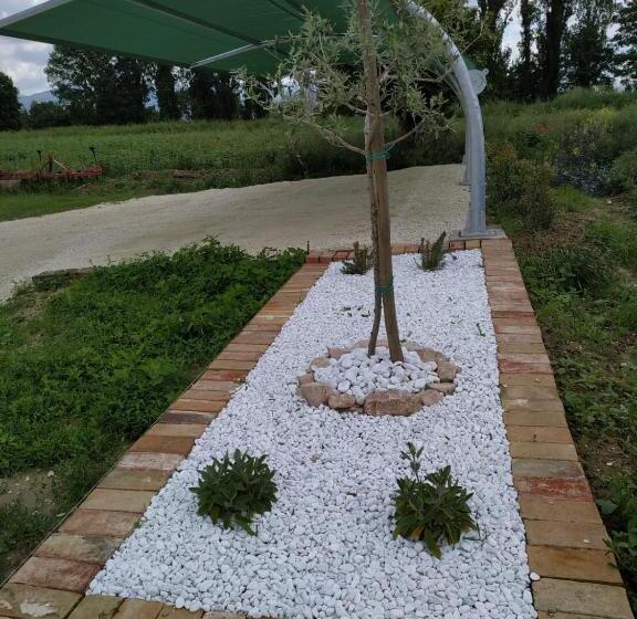 ホテル Agriturismo  Le Serre