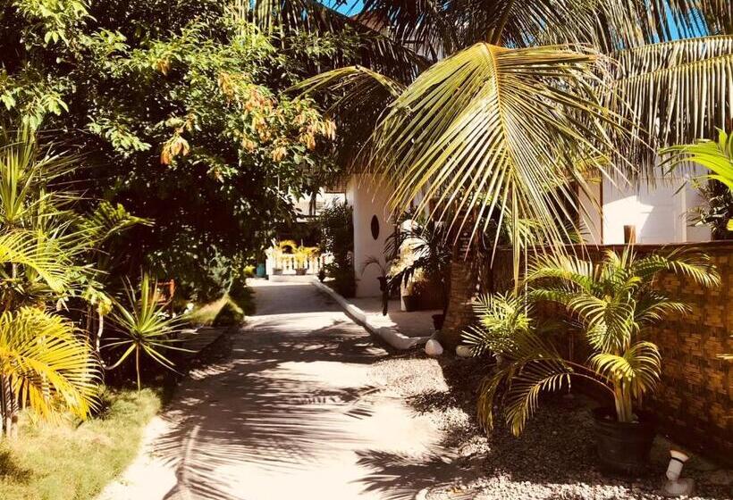 호텔 Everyday Sunday Formerly Carl S Island Inn