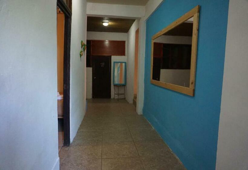 호텔 Casa Tortuga Azul