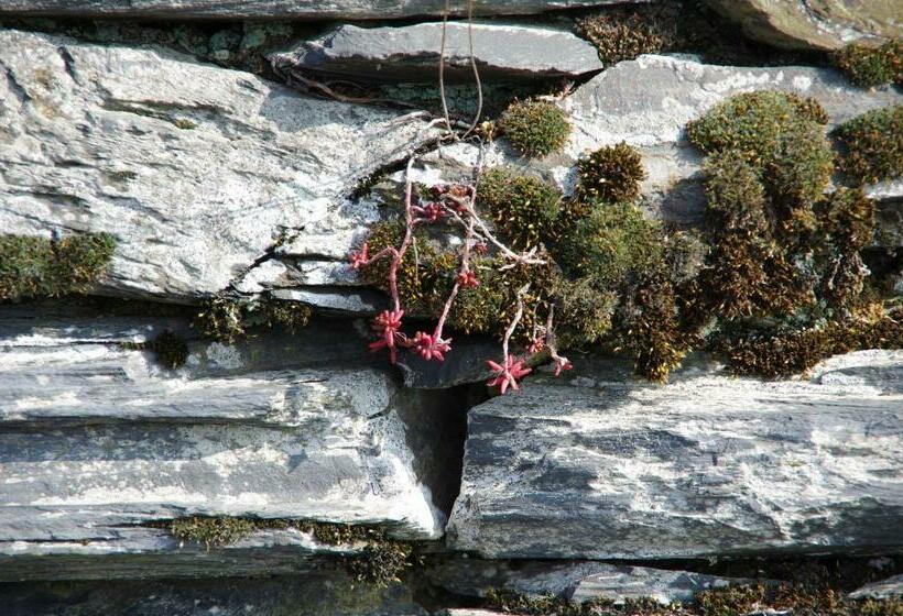 Отель Weingut Weich