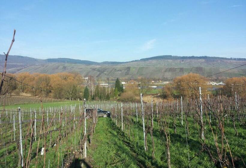 Отель Weingut Weich