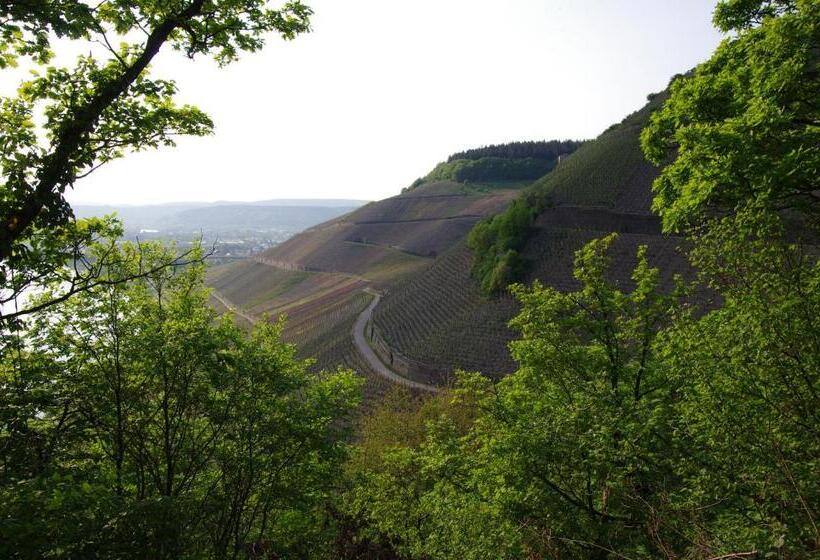 Отель Weingut Weich