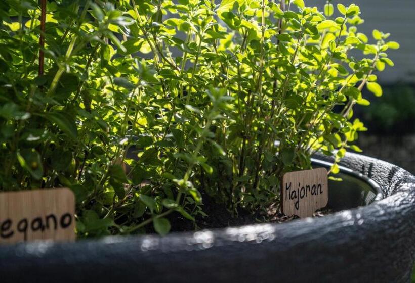 Пансион 180gradblick