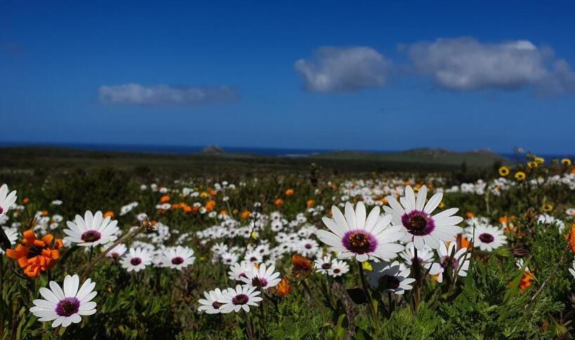 펜션 Adam S Guest House