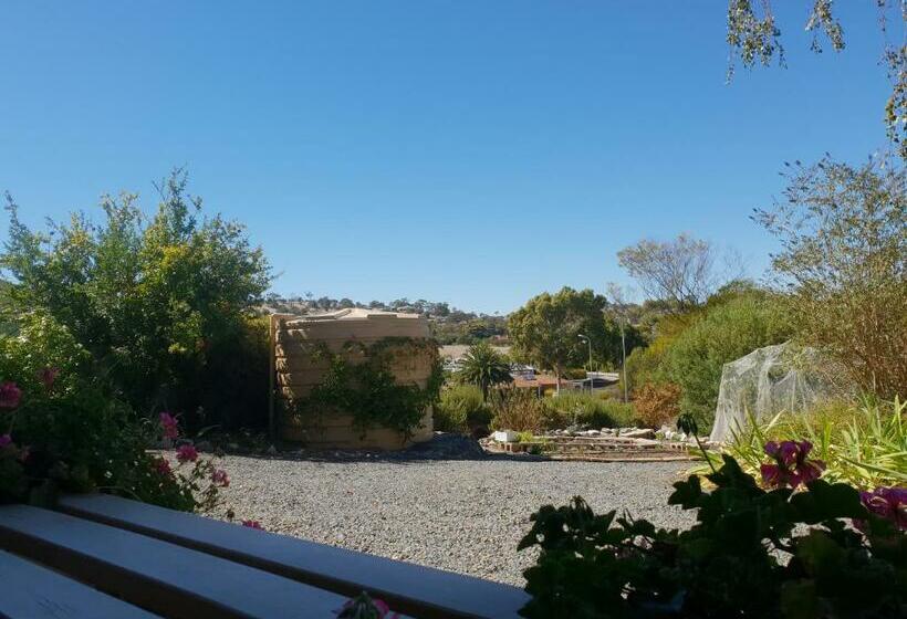 פנסיון Barossa Valley Studio