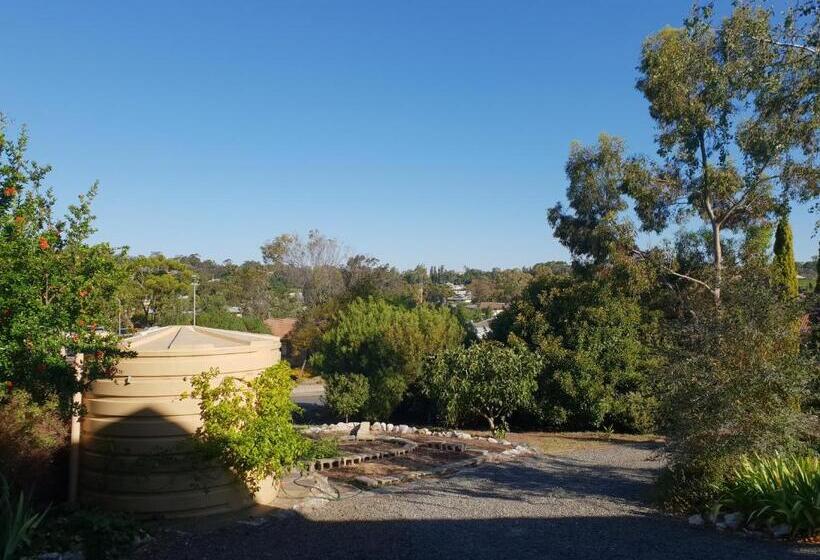 ペンション Barossa Valley Studio