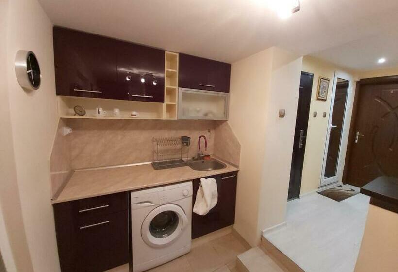 펜션 Guest Rooms Exotic