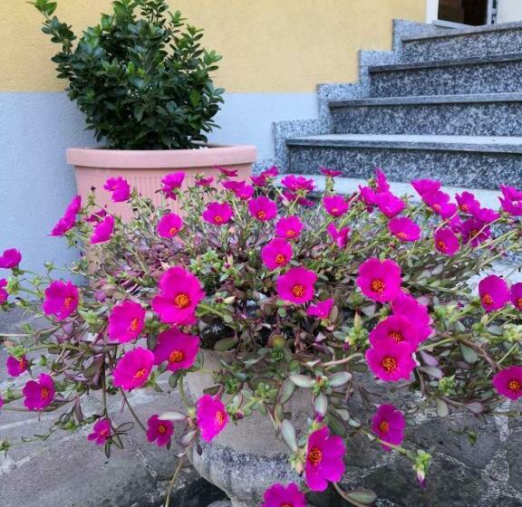 פנסיון La Casa Di Tino