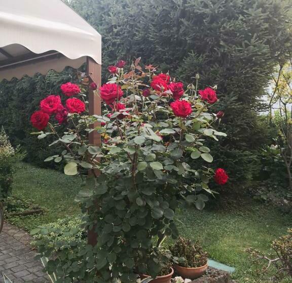 بنسيون La Casa Di Tino