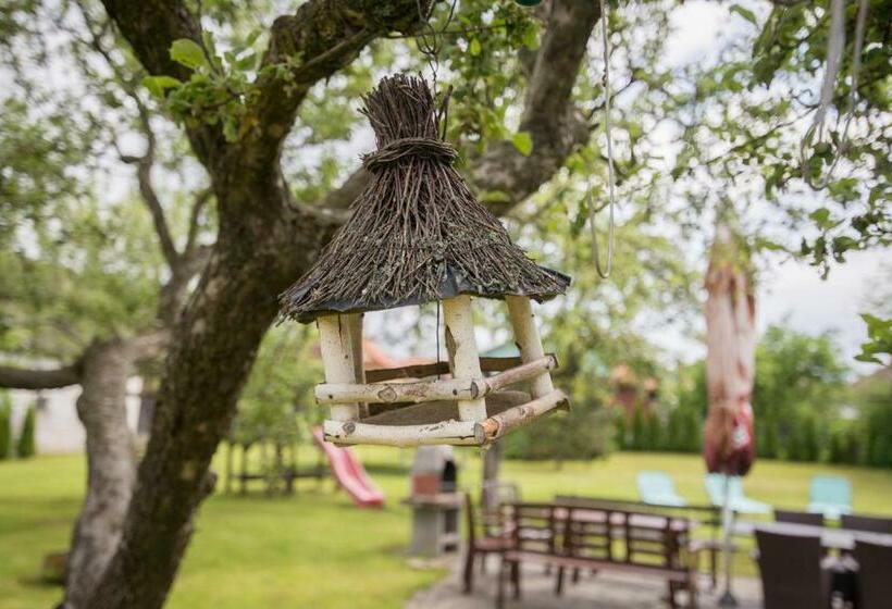 بنسيون Privat Vypka