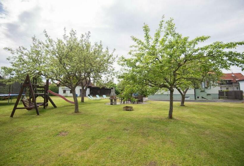 بنسيون Privat Vypka