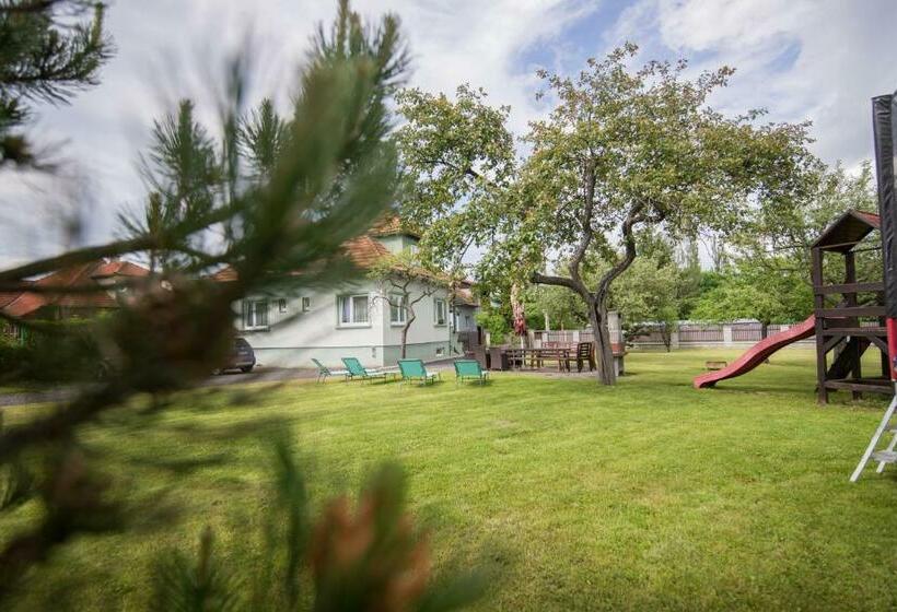 بنسيون Privat Vypka