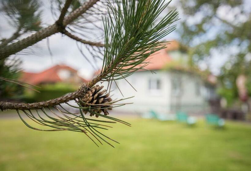 بنسيون Privat Vypka