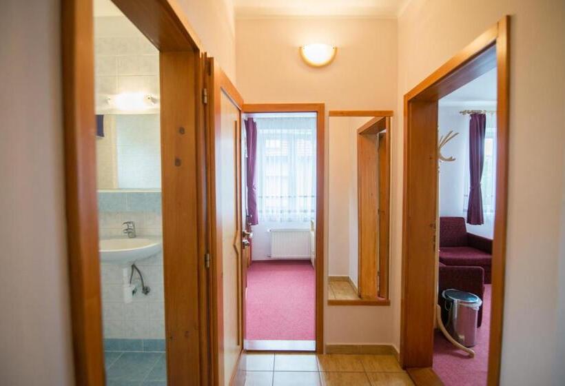 بنسيون Privat Vypka