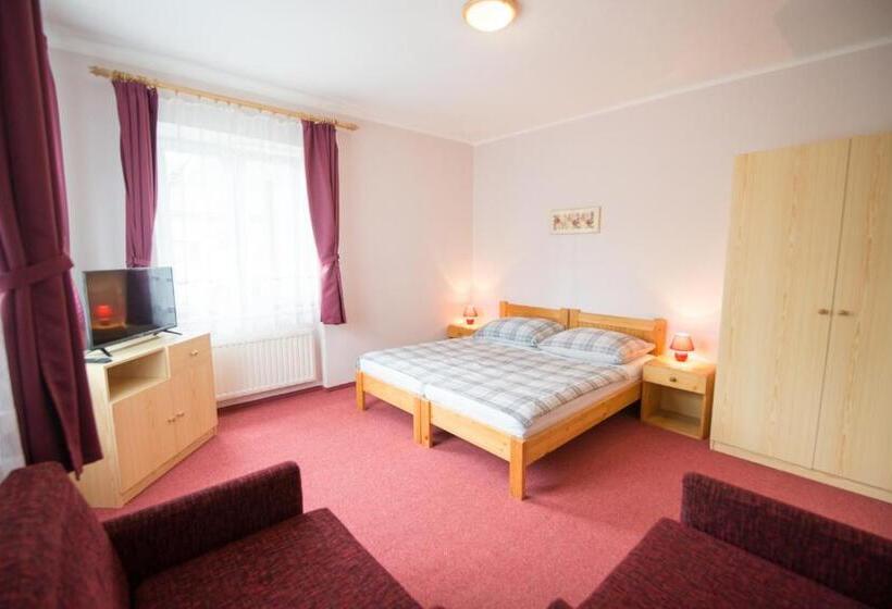 بنسيون Privat Vypka