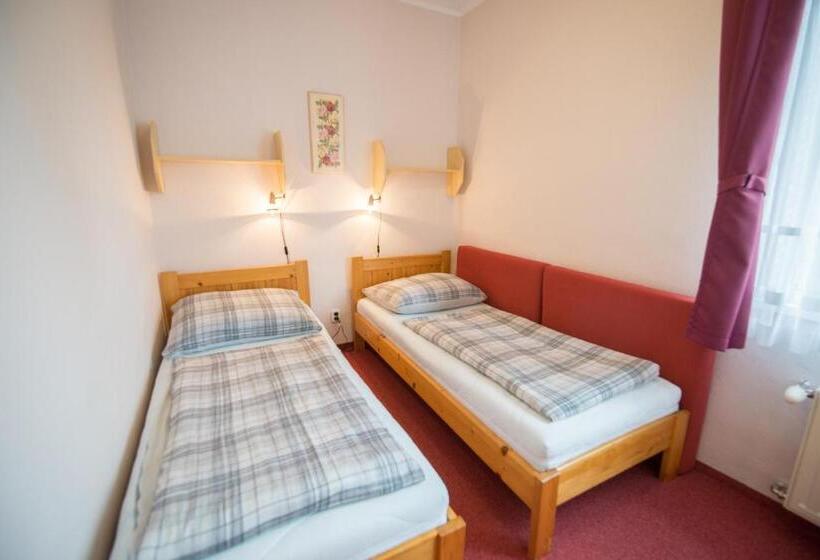 بنسيون Privat Vypka