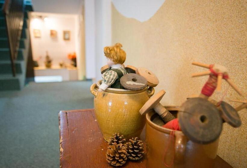 بنسيون Privat Vypka