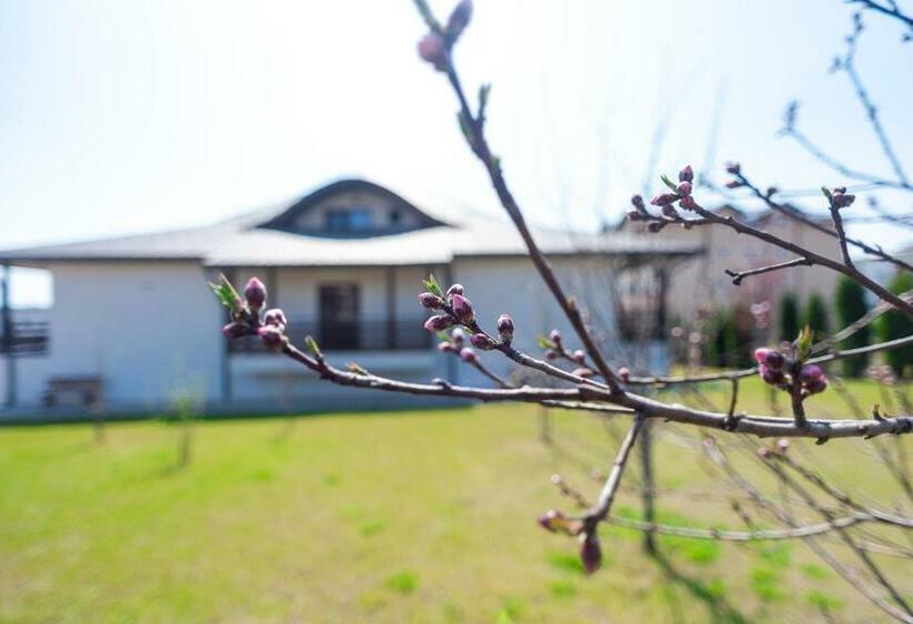 膳宿费 Tango Margo