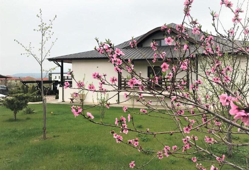 膳宿费 Tango Margo