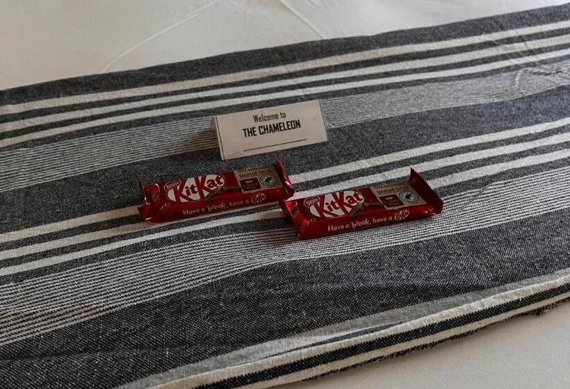 Пансион The Chameleon