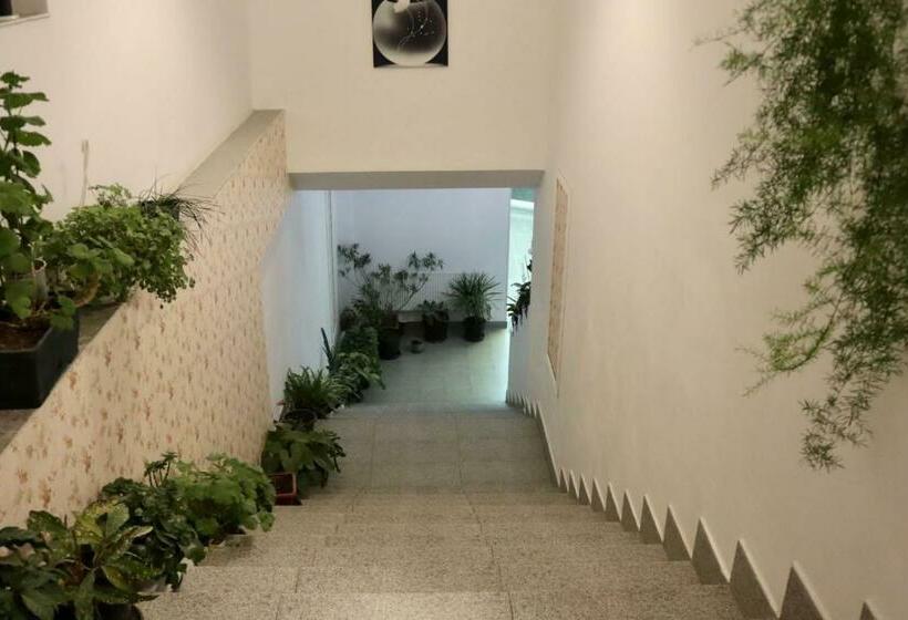 渡假胜地 Restaurant Dalex