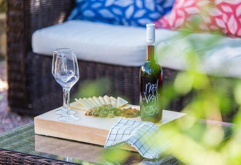 호스텔 Casa Segaria