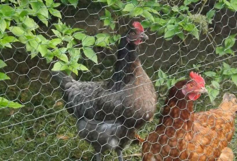 Bed and Breakfast Au Coeur De Soissons 1