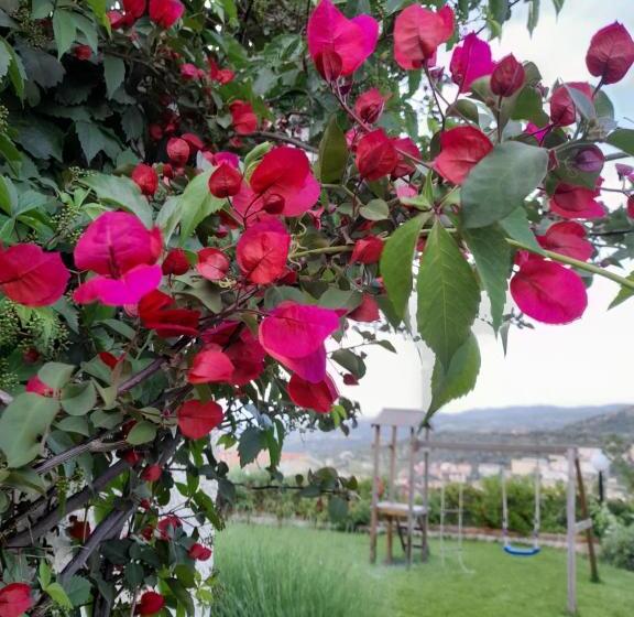 مبيت وإفطار Casa Sui Tetti
