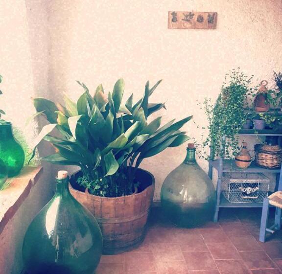 مبيت وإفطار Casa Sui Tetti