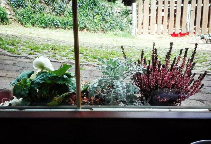 민박 Gästezimmer Familie Müller