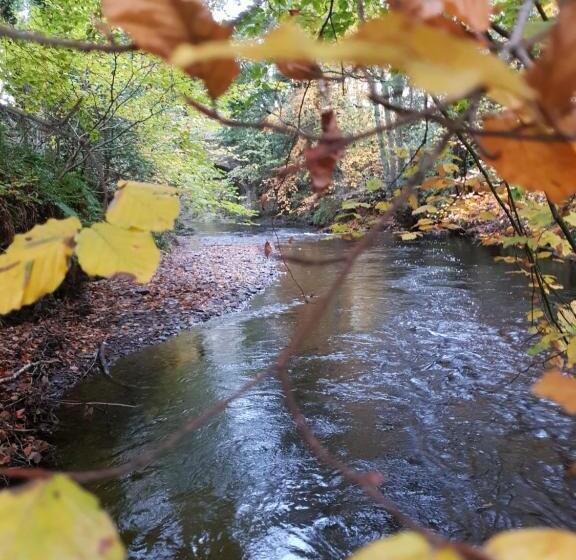 مبيت وإفطار The Millers Cottage
