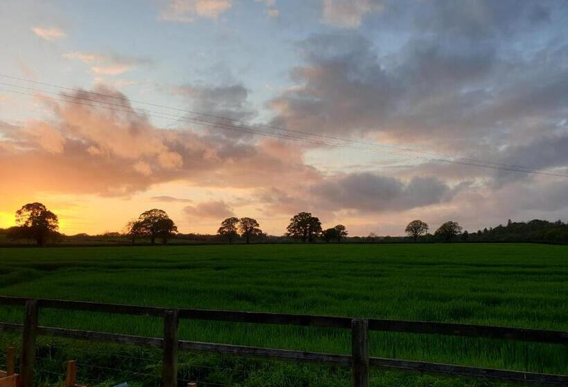 ベッドアンドブレックファースト The Millers Cottage