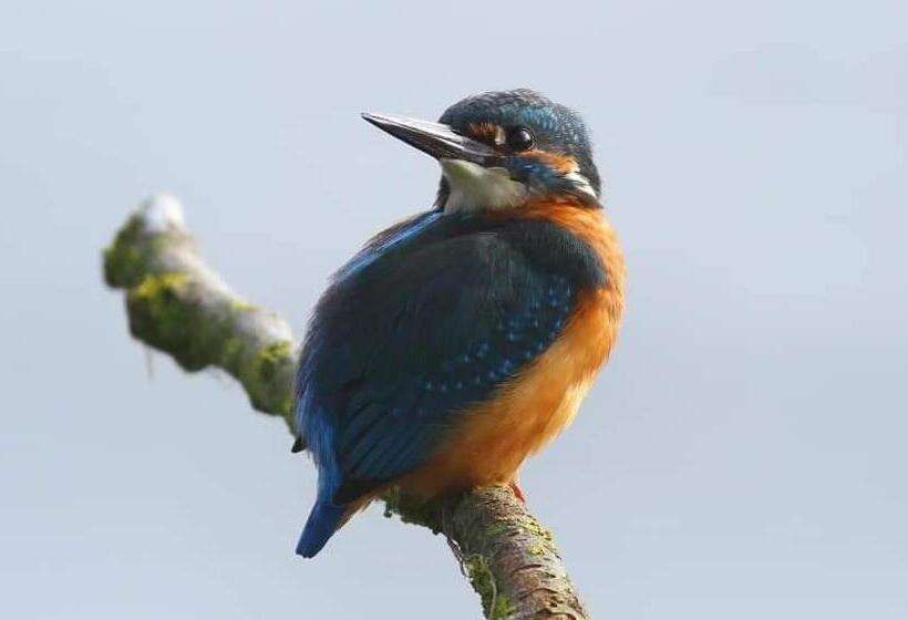 ベッドアンドブレックファースト The Millers Cottage