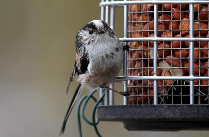 مبيت وإفطار The Millers Cottage