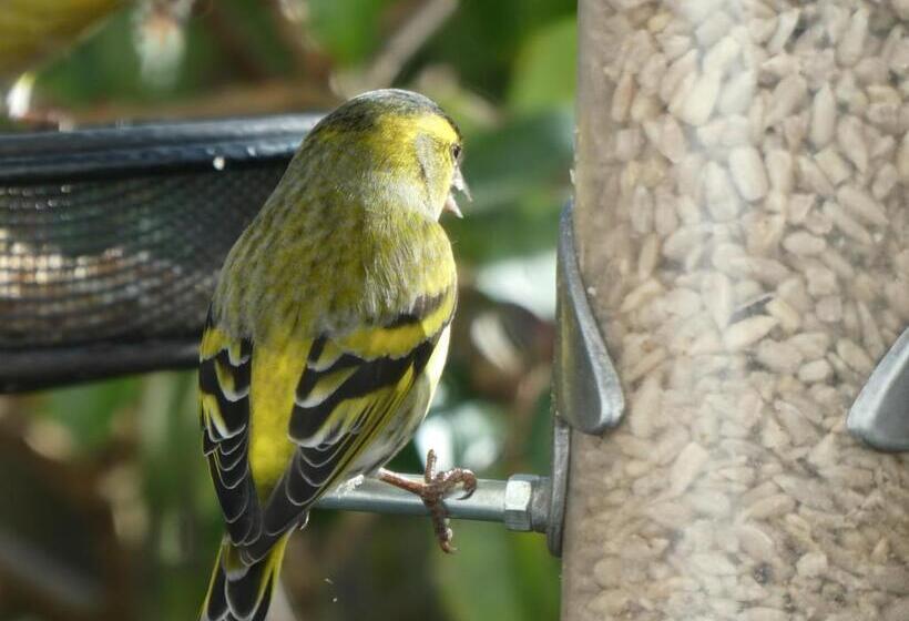 ベッドアンドブレックファースト The Millers Cottage