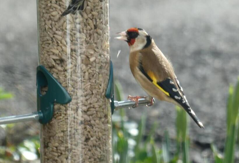 مبيت وإفطار The Millers Cottage