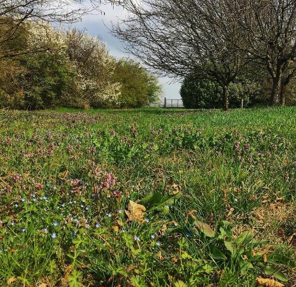 צימר Villa Manto