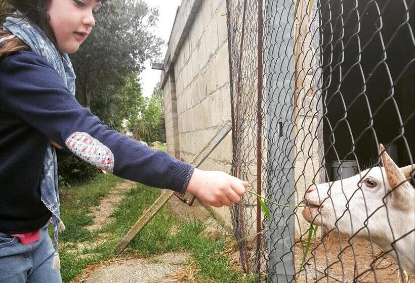 호텔 Agriturismo Petra Lucana